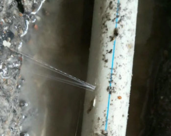 麒麟卫生间测漏水多少钱